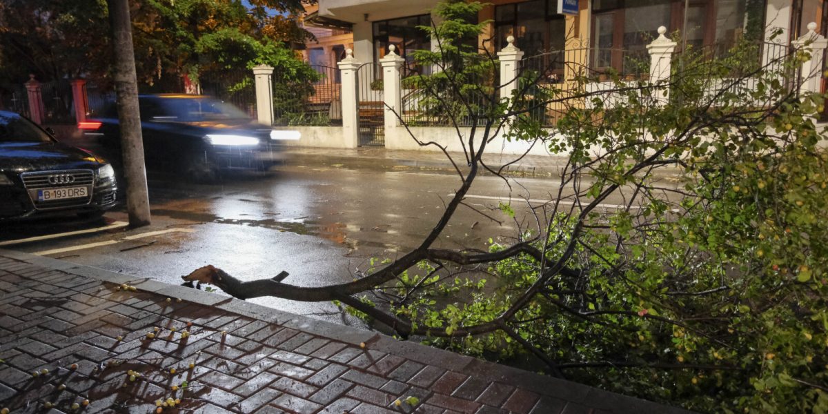 Vijelie în București: 101 copaci puși la pământ