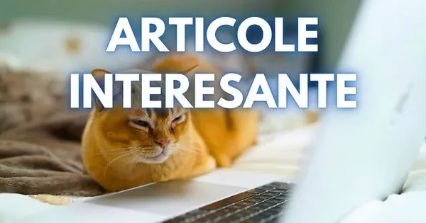 Sinteza zilei: Evenimente pe care nu le poți rata azi