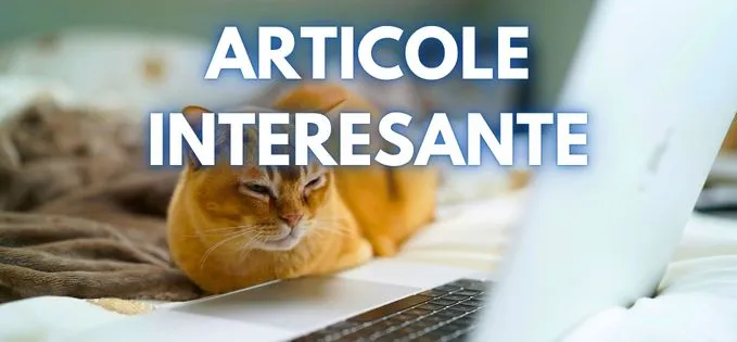 Sinteza zilei: Evenimente pe care nu le poți rata azi