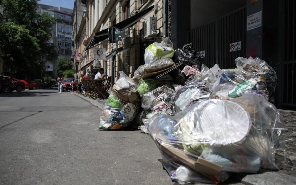 București: 5 proiecte noi pentru curățenie și deratizare de top