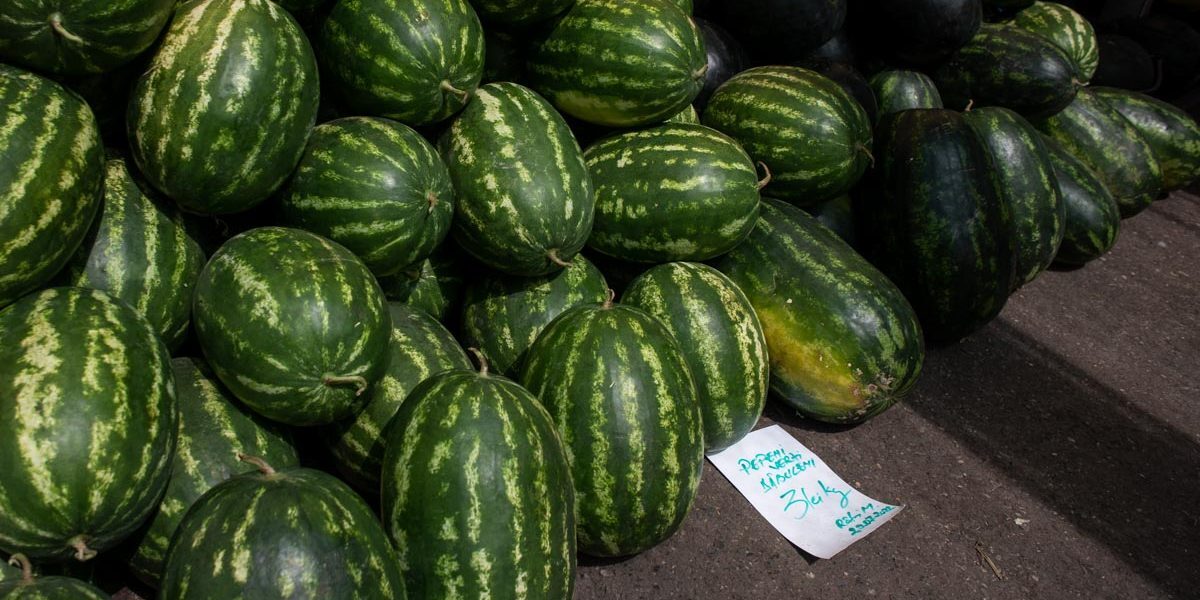 Lubenița de Gottlob cucerește Londra, comercianți turci interesați