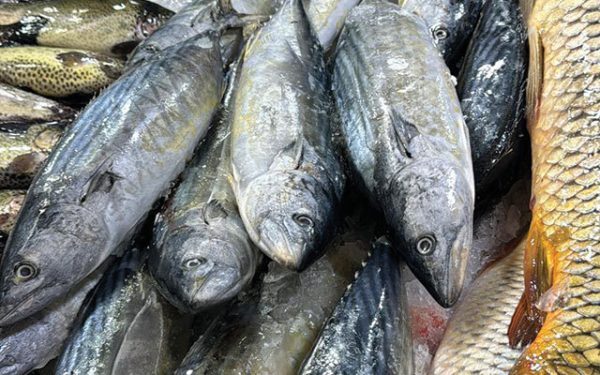 Pescicultor din Botoșani: Competită imensă, desfacere slabă