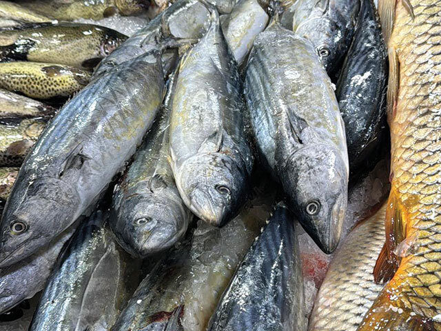 Pescicultor din Botoșani: Competită imensă, desfacere slabă
