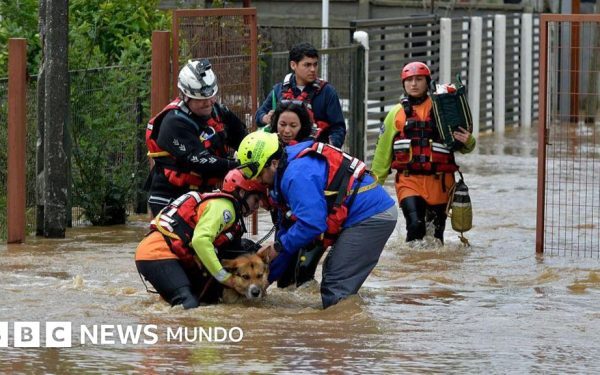 Super El Nino: America Latină, în prag de dezastru științific