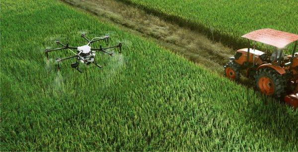 Agricultura românească: Adio, loterie. Bun venit, strategie