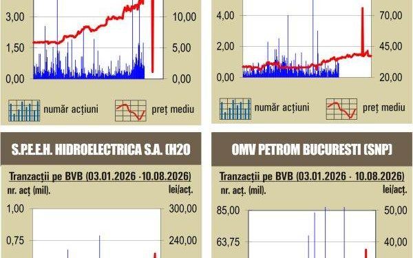 Bursa a încheiat săptămâna în verde, profituri pe linie