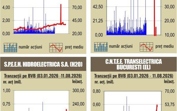 BVB: Majoritatea indicilor în scădere pe 12 august