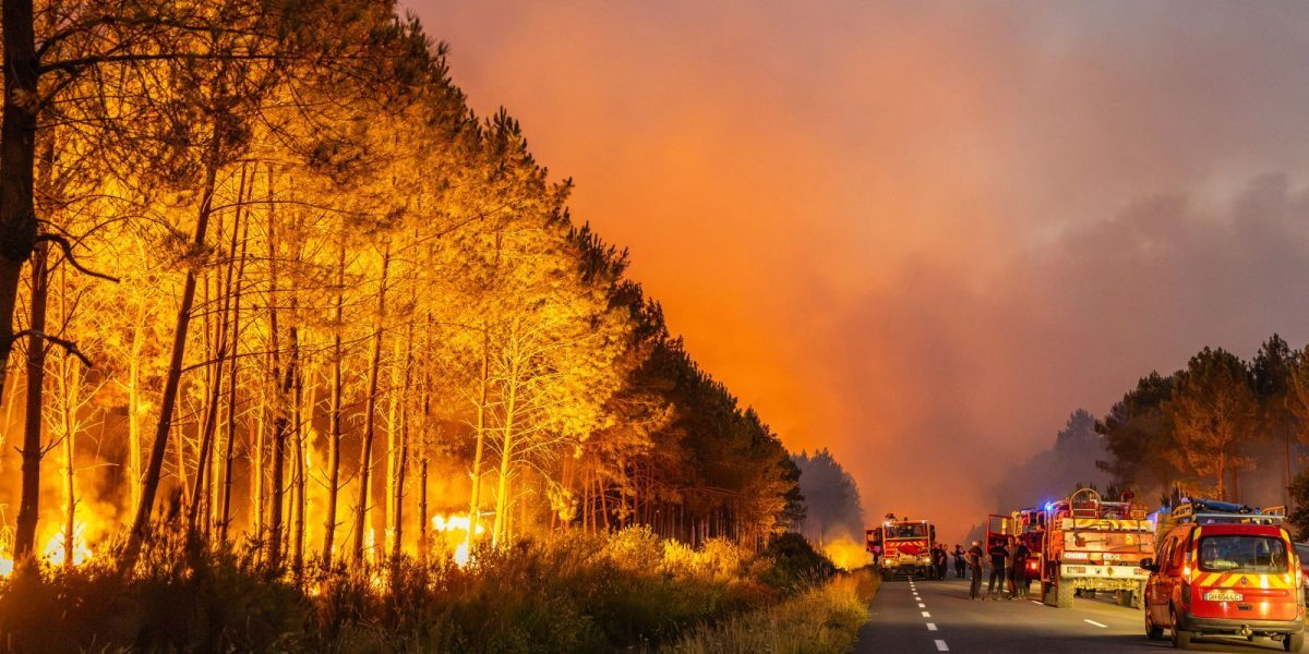 Europa de Vest arde: Iulie bat recordul de temperatură