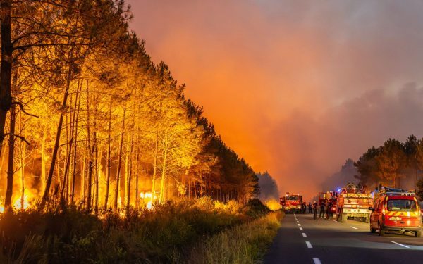 Europa de Vest arde: Iulie bat recordul de temperatură