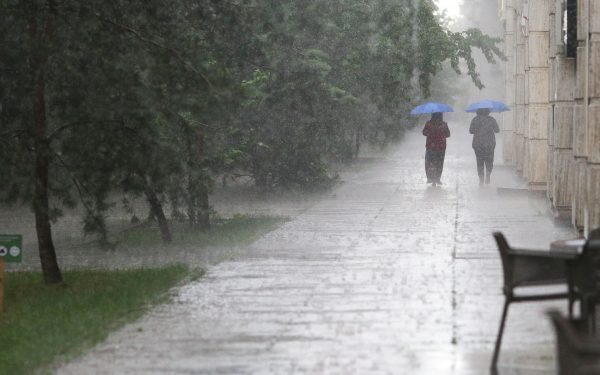 Furtuni și vijelii, până mâine noapte: jumătate de țară este sub cod galben / Județele aflate azi sub alertă de caniculă