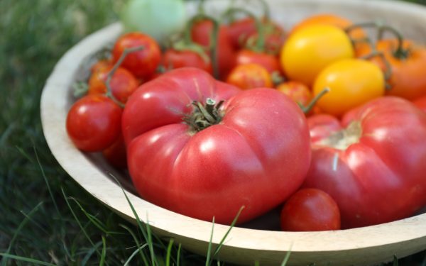 Roșii în august: Secretul lui Monty Don pentru coacere perfectă
