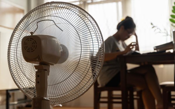 Trucuri vechi pentru răcoare: soluții redescoperite azi