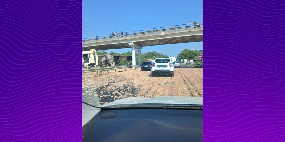Haos pe A1 București-Pitești: TIR cu pui s-a răsturnat, marfa pe șosea