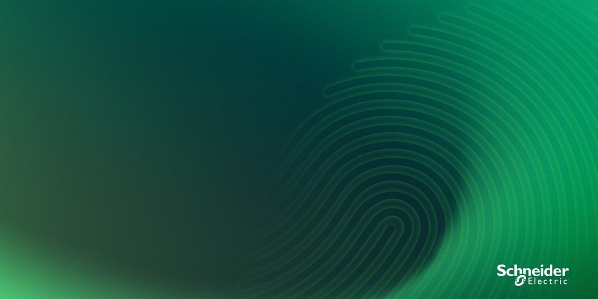 Schneider Electric: Succes pe „Impact 2030”, rezultate puternice