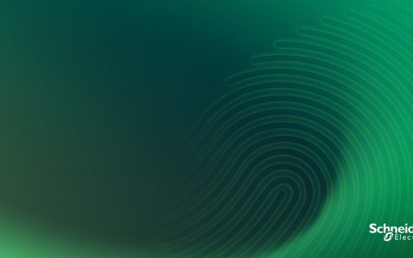 Schneider Electric: Succes pe „Impact 2030”, rezultate puternice