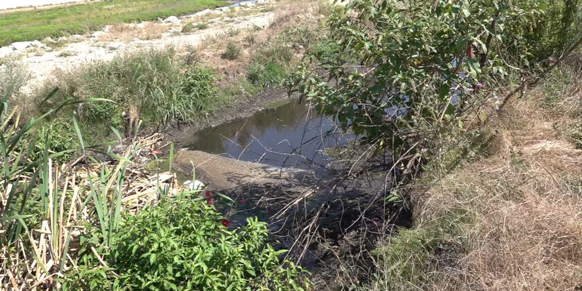 Ape uzate la Târgu Jiu: poluare în râu, localnicii cer soluții