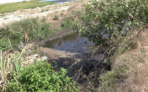 Ape uzate la Târgu Jiu: poluare în râu, localnicii cer soluții