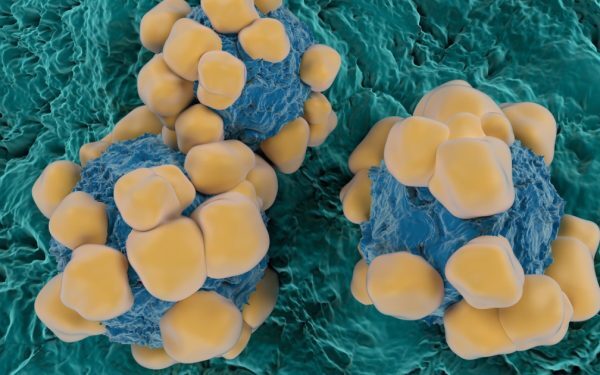 Viagra: Un ingredient promite stoparea răspândirii cancerului