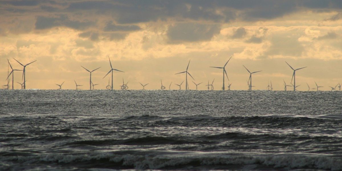 Marea Neagră: Guvernul deschide lista concesiunilor eoliene