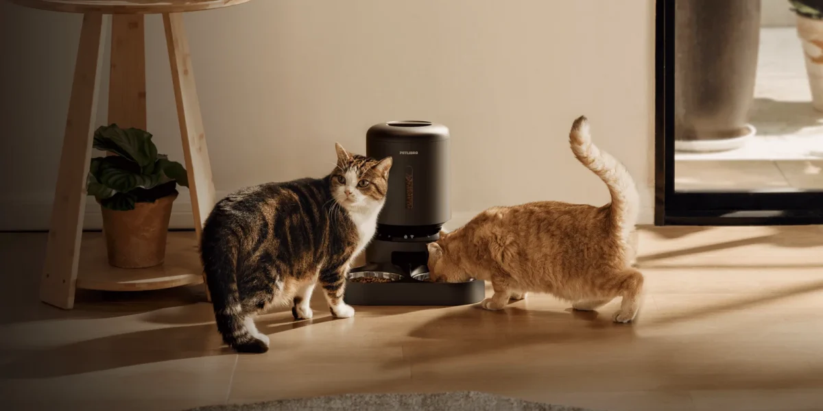 Petlibro: Pană la aparatele de hrană, animale de companie fără mâncare