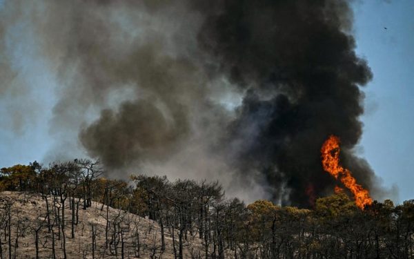 incendii in franta