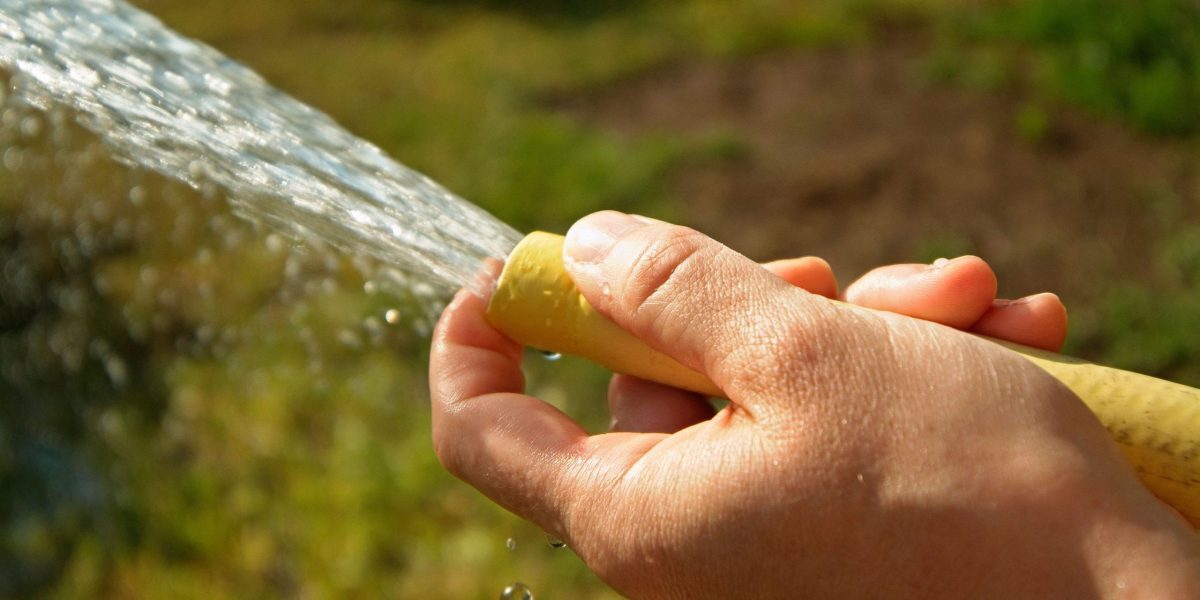 Amenzi pentru udatul grădinii și spălatul trotuarului. Ce spun legea