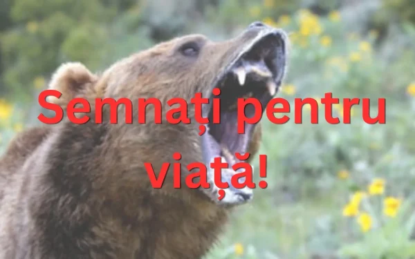 Salvați-ne de numărul excesiv de urși!