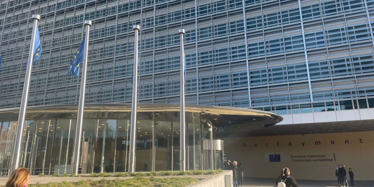 S&D: România nu plătește prețul dublelor standarde UE