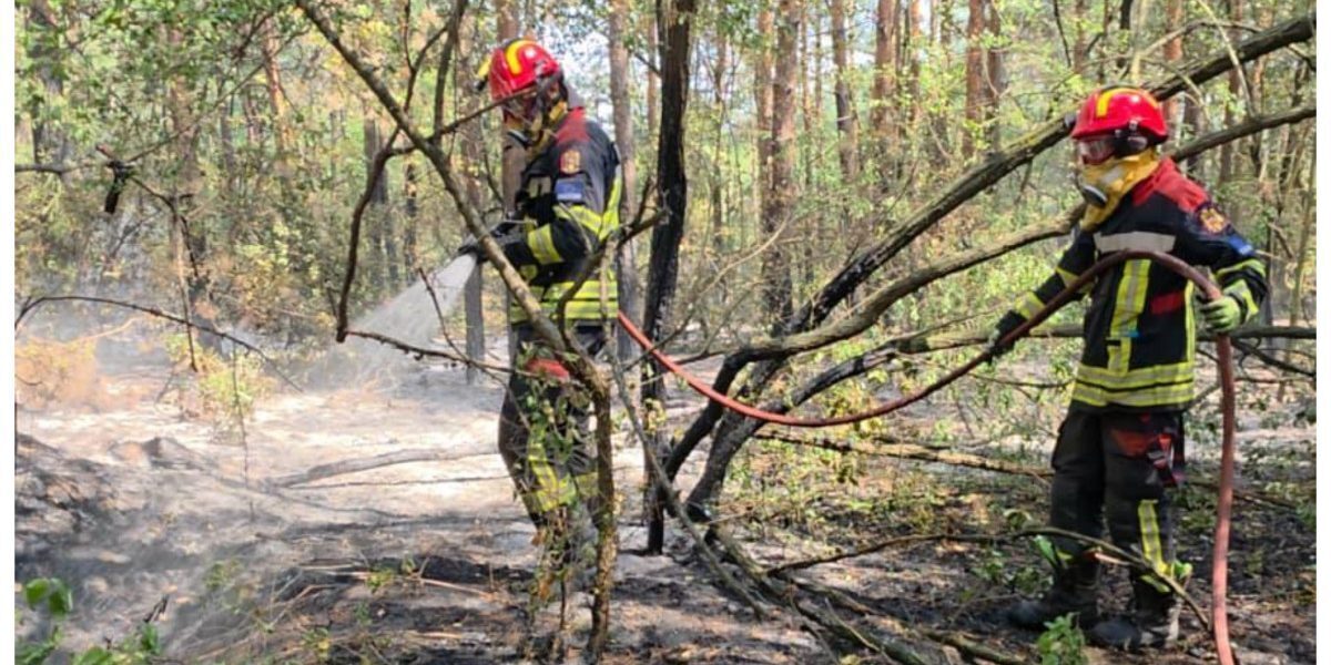 Pompieri români, luptă cu flăcările în Serbia