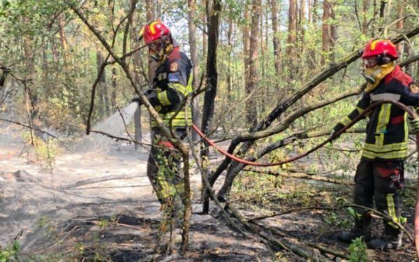 Pompieri români, luptă cu flăcările în Serbia