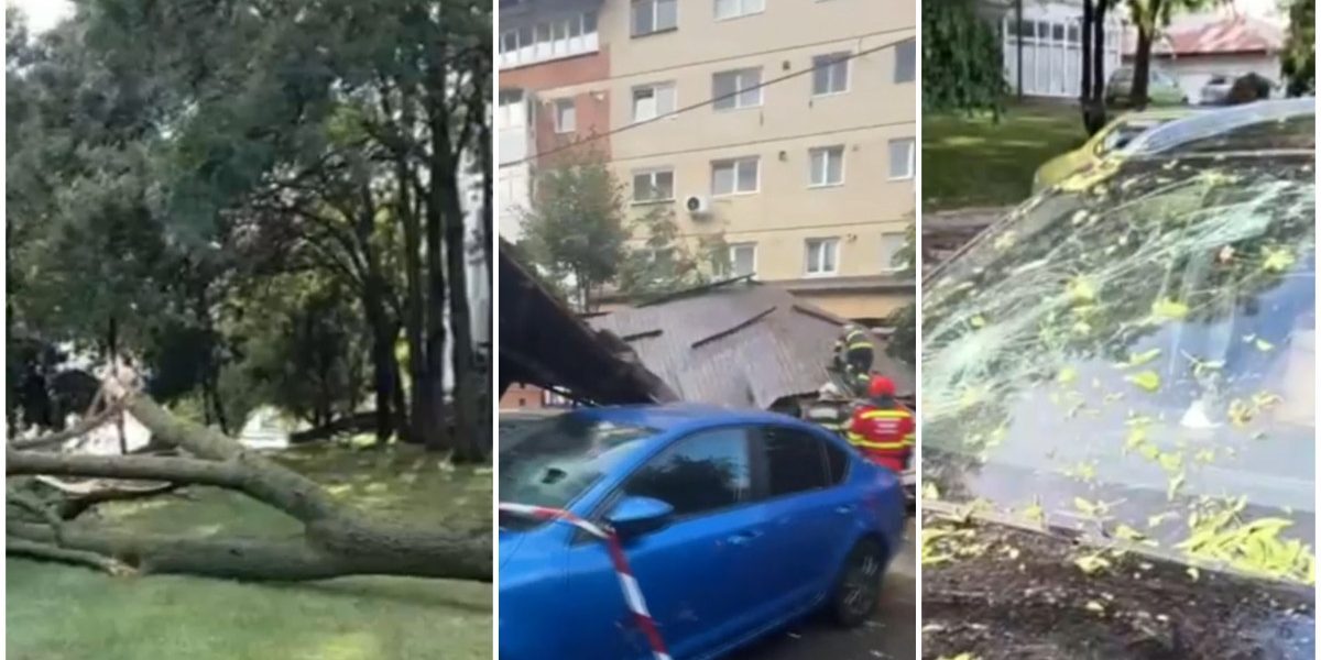 Vânt năprasnic: copaci doborâți și acoperiș peste mașini