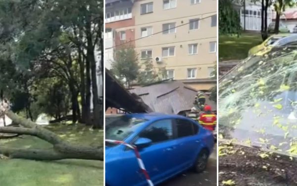 Vânt năprasnic: copaci doborâți și acoperiș peste mașini