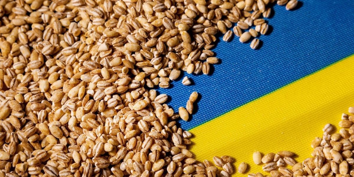 Constanța, cheia cerealelor Ucrainei. Kievul vizează Moldova
