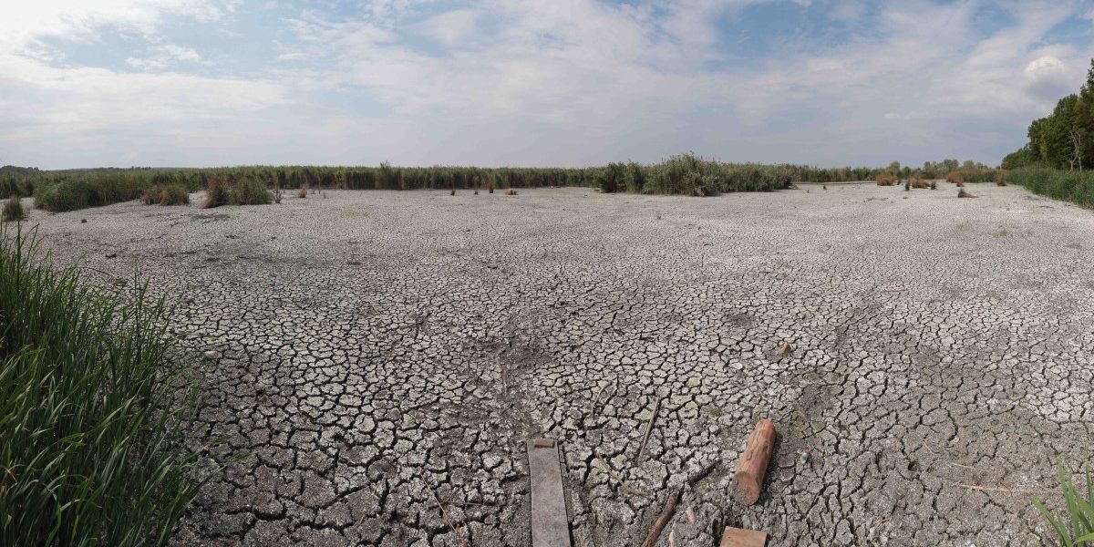 Ploile de vară, o iluzie în lupta cu seceta. Climatologul explică