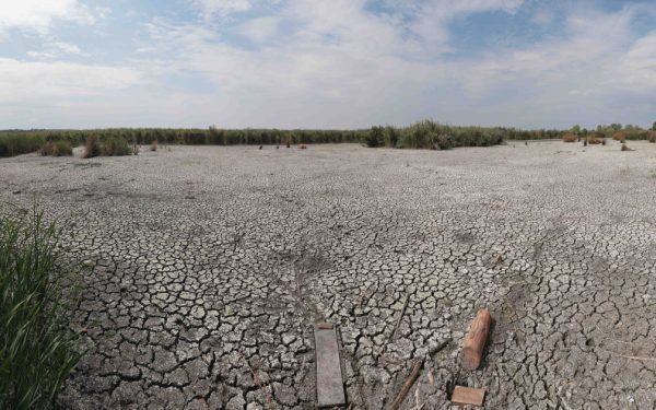Ploile de vară, o iluzie în lupta cu seceta. Climatologul explică