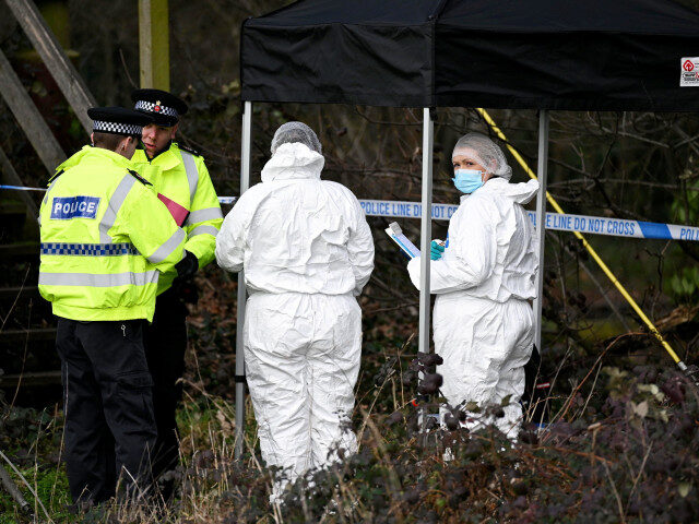 Vânătoare fatală de prepelițe: doar unul a revenit acasă