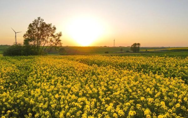 Pesticide: UE strânge lațul, fermele cresc prețurile