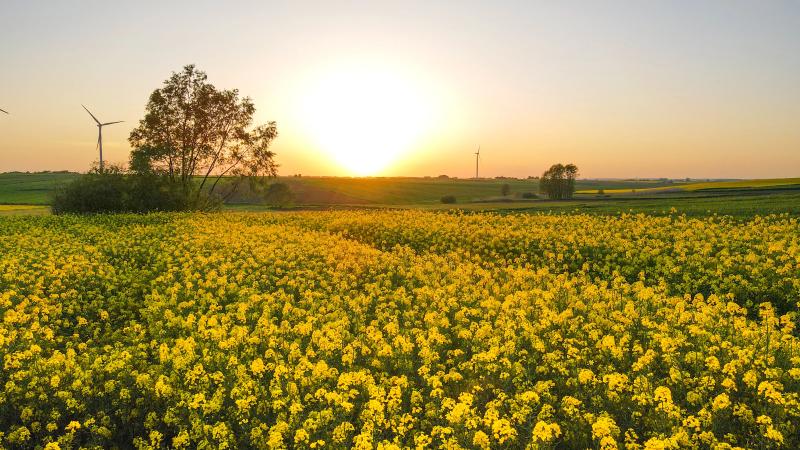 Pesticide: UE strânge lațul, fermele cresc prețurile