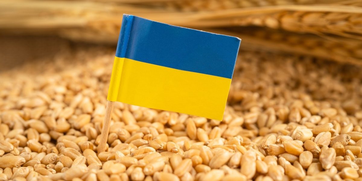 Fermierii români cer control total pe graniță pentru cerealele ucrainene