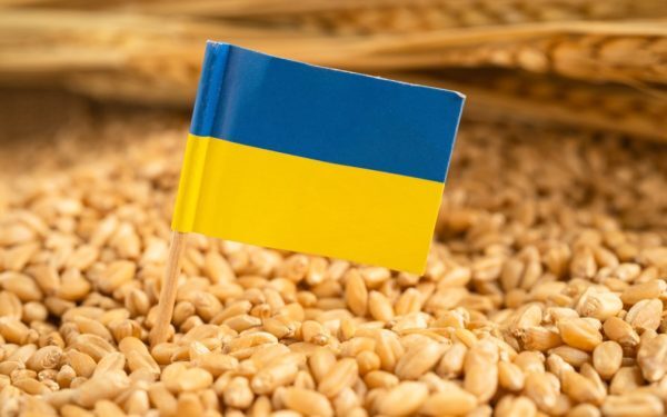 Ucraina cere UE 220 mil. euro pentru fermierii loviți de război