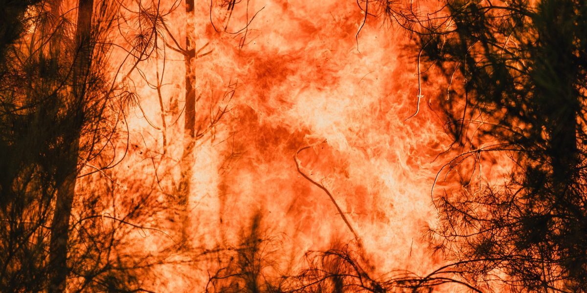 Criza climatică: Incendii tot mai grele în Europa, risc de 20x în Spania