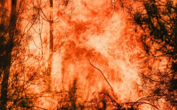 Criza climatică: Incendii tot mai grele în Europa, risc de 20x în Spania