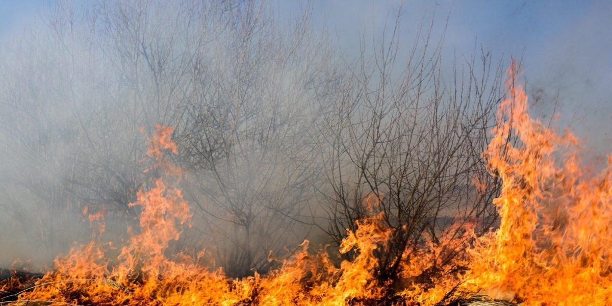 Caraș-Severin: Patru incendii, sufocate de zeci de pompieri și elicoptere