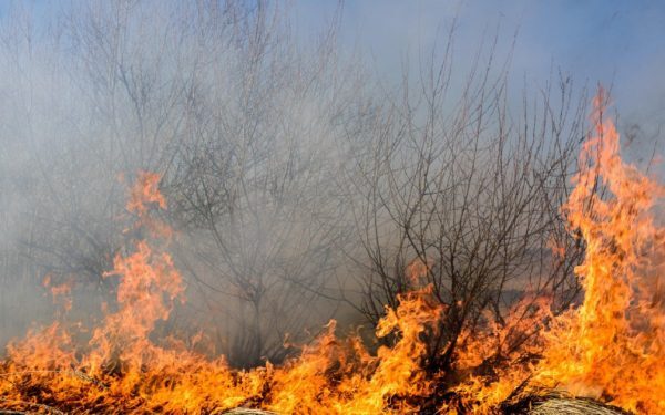 Caraș-Severin: Patru incendii, sufocate de zeci de pompieri și elicoptere