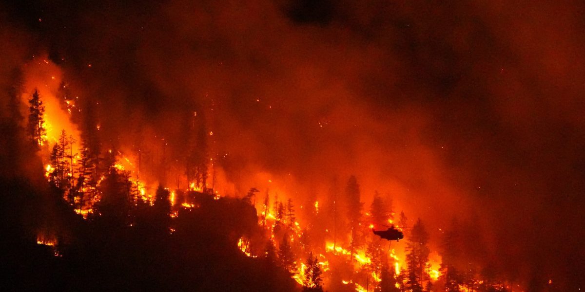 Canada: Clima dublează risc incendii forestiere, arată un studiu