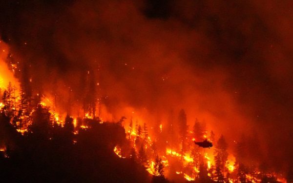Canada: Clima dublează risc incendii forestiere, arată un studiu