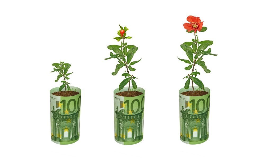 Fonduri UE 100.000 EUR/ferm, ghid AFIR: flori și plante medicinale