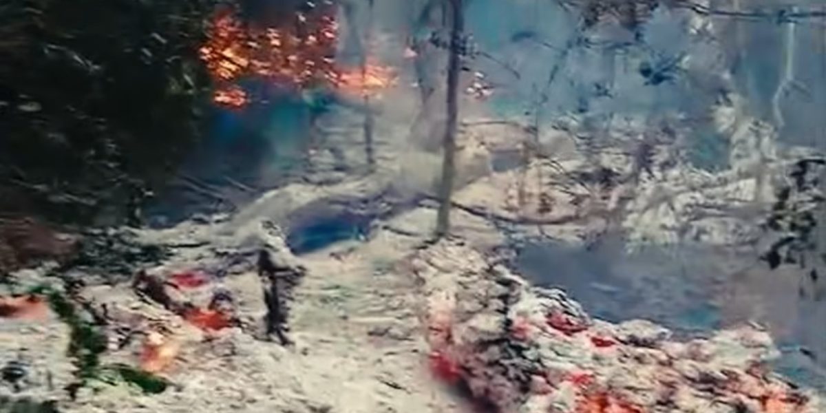 Incendiu lângă Plauru: MApN verifică malul brațului Chilia