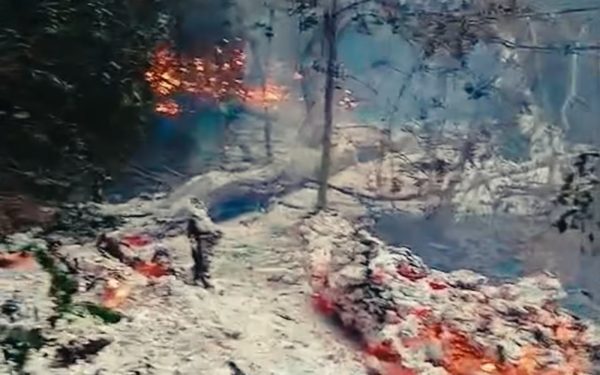 Incendiu lângă Plauru: MApN verifică malul brațului Chilia