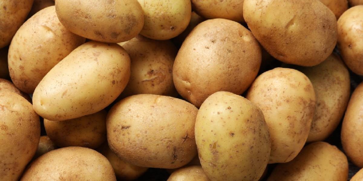 Cartof pe frunte contra febrei: mit sau remediu real